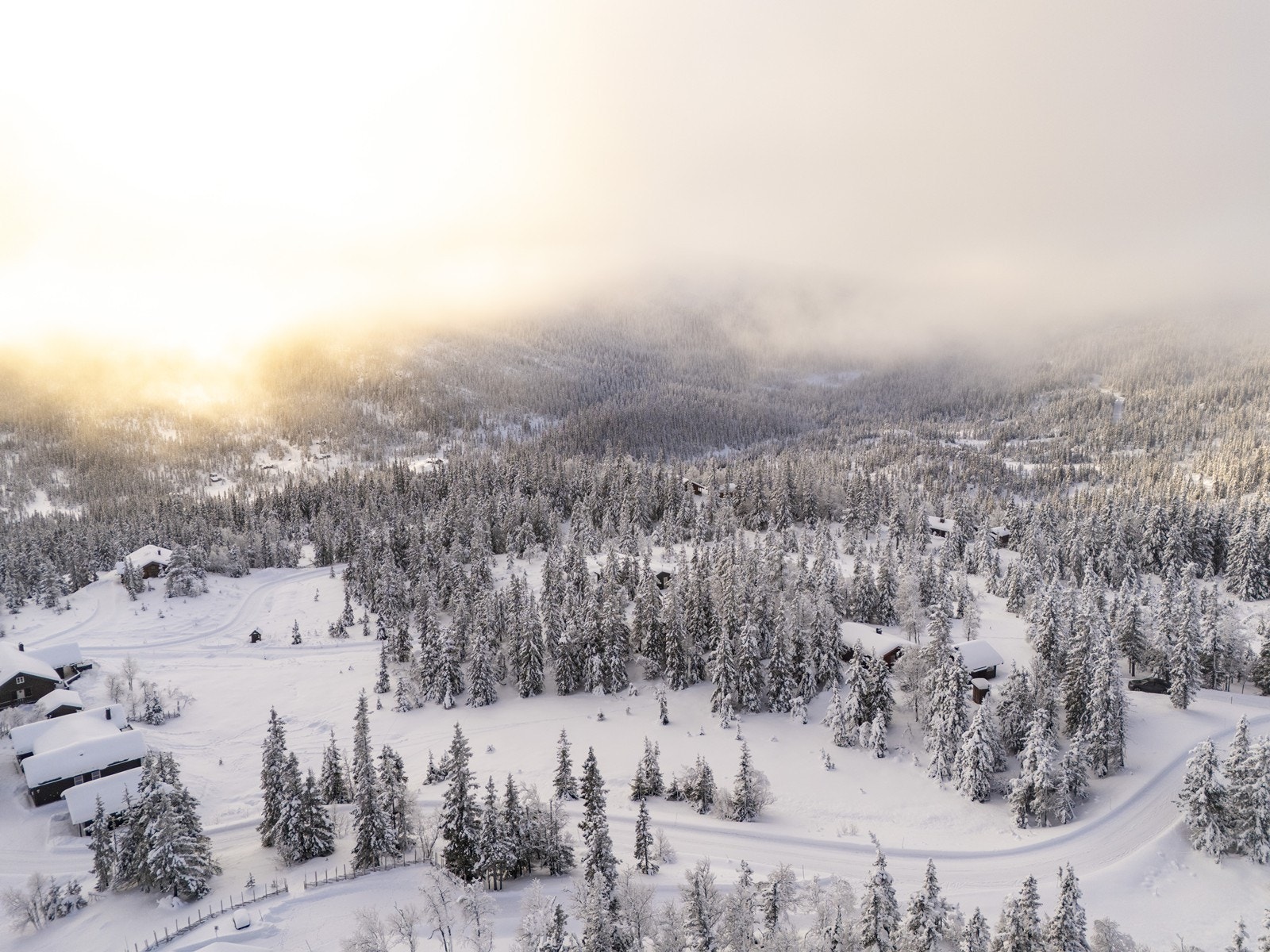 Velkommen til en hyggelig visning! Galleribilde