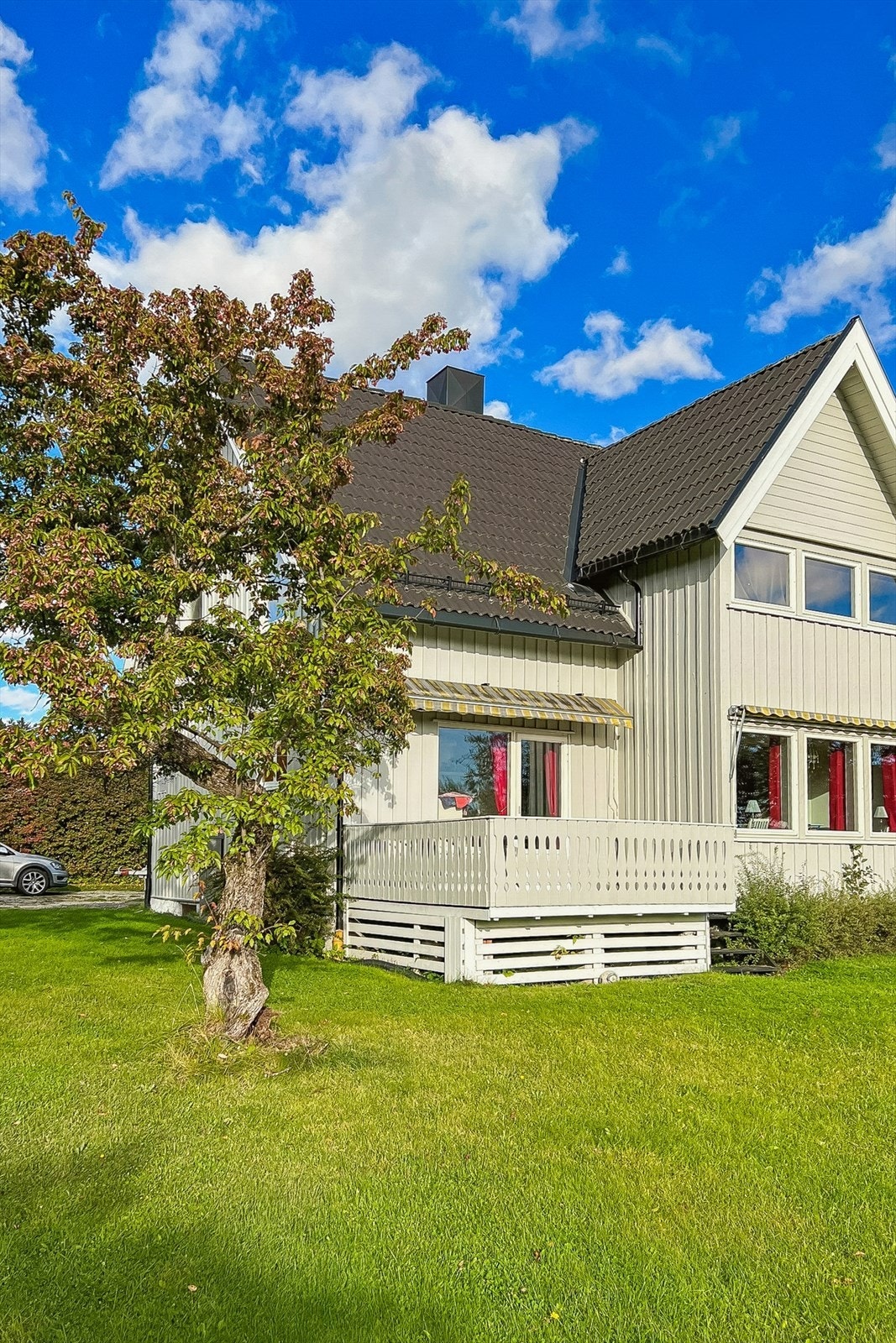 Egne bilder Galleribilde