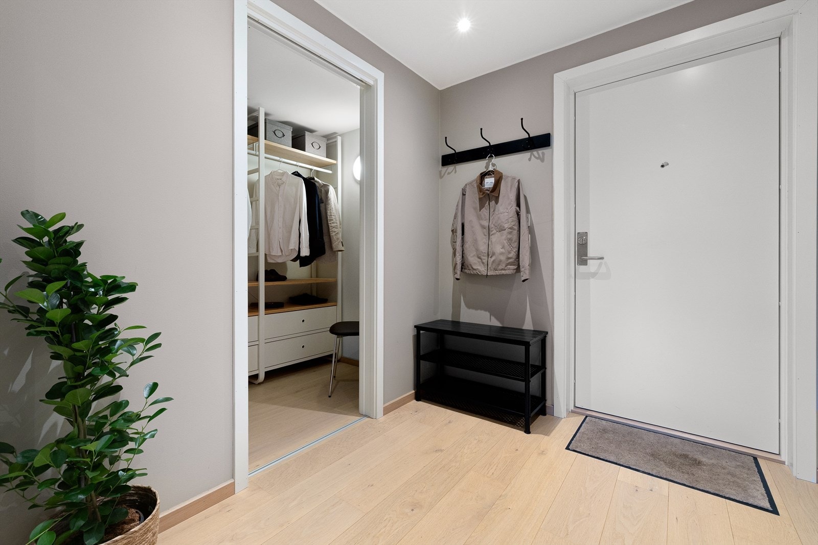 Leiligheten har en fin beliggenhet i byggets 5. etasje med enkel heisadkomst fra felles inngangsparti. Det er også heis rett opp til takterrassen Galleribilde