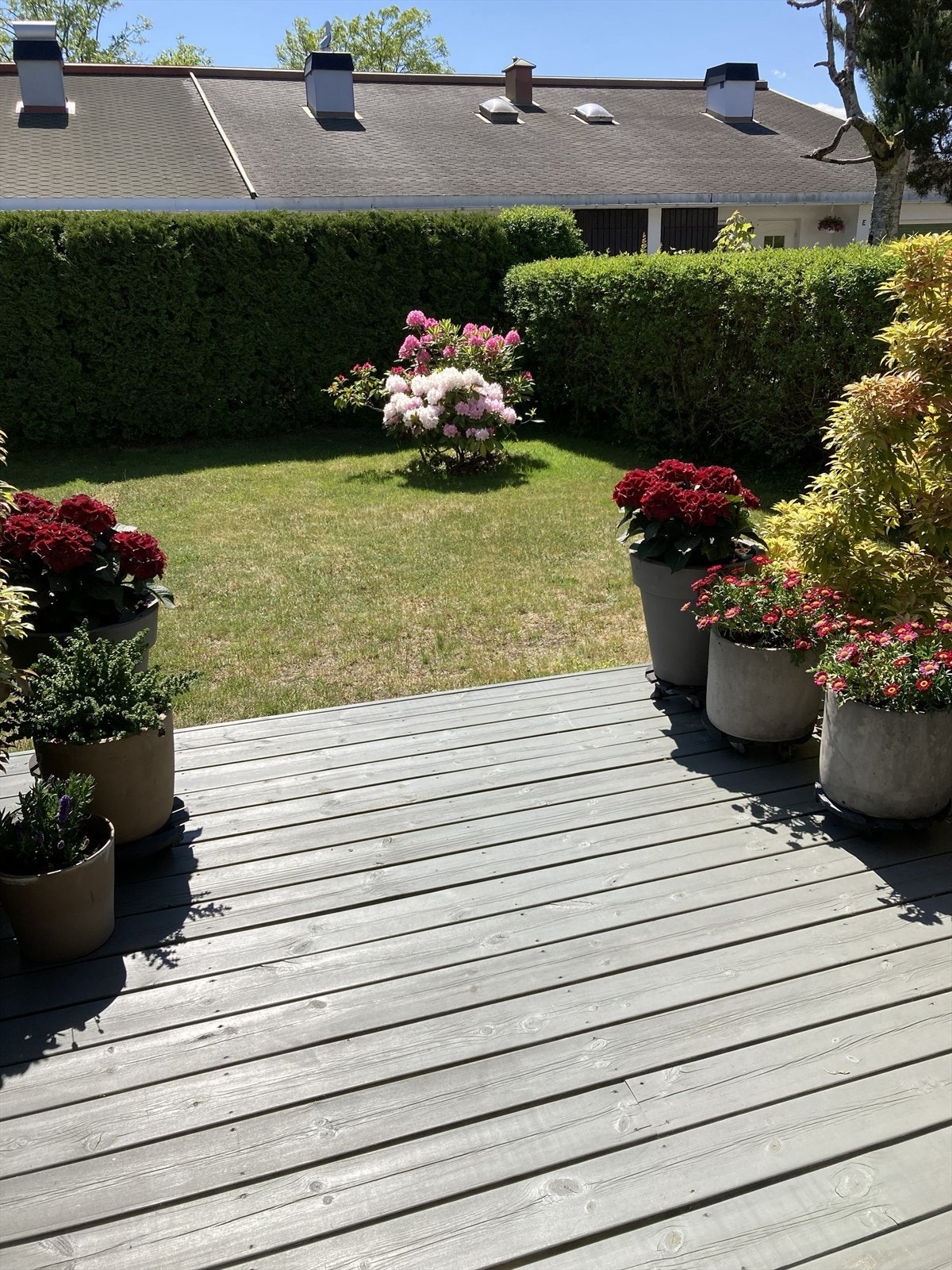 En flott, liten hage med en deilig terrasse Galleribilde