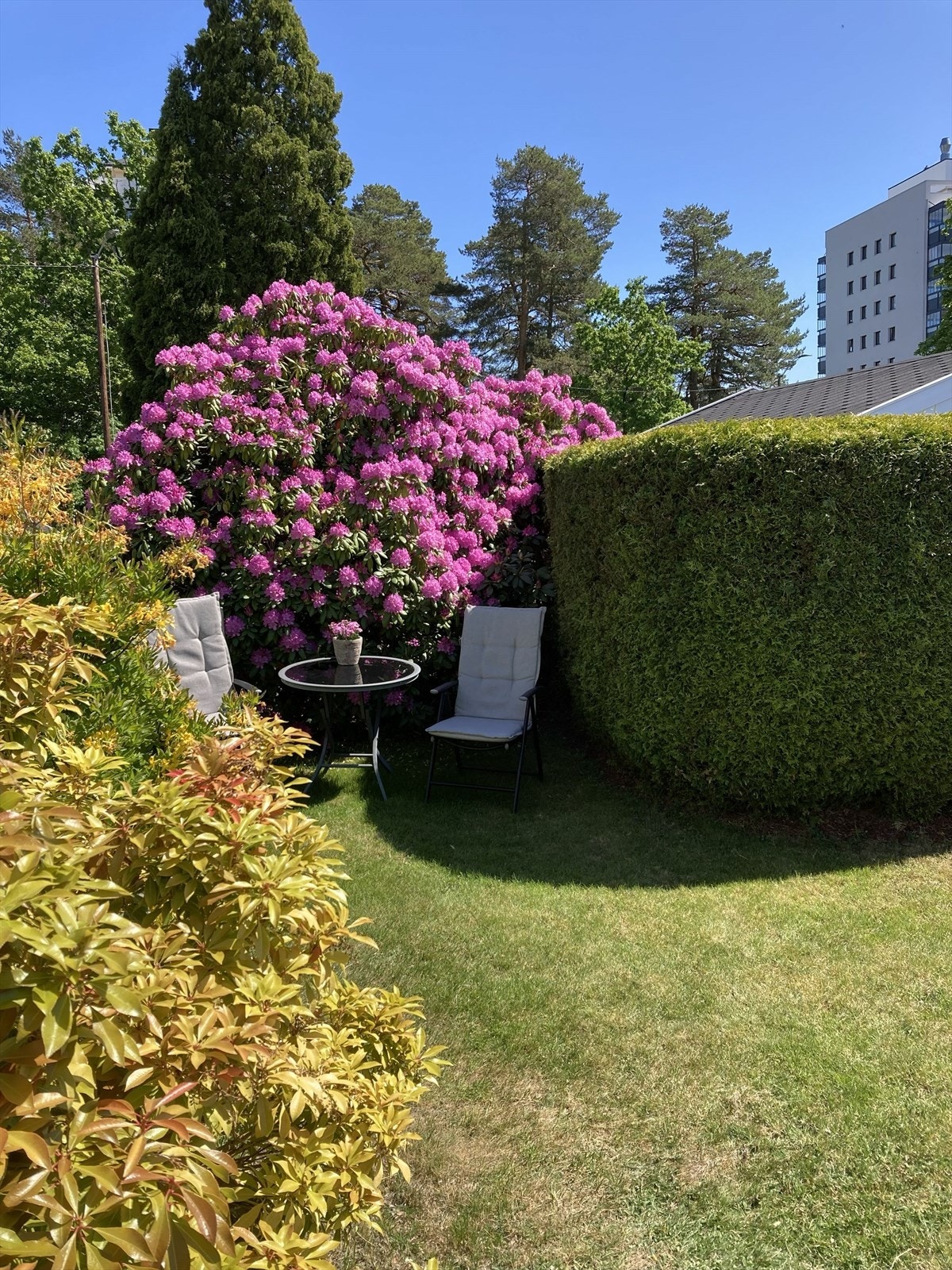 Her er det perfekt for ro og hygge Galleribilde