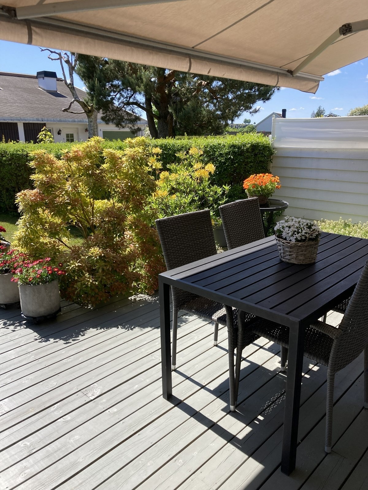 Sommerminner Galleribilde