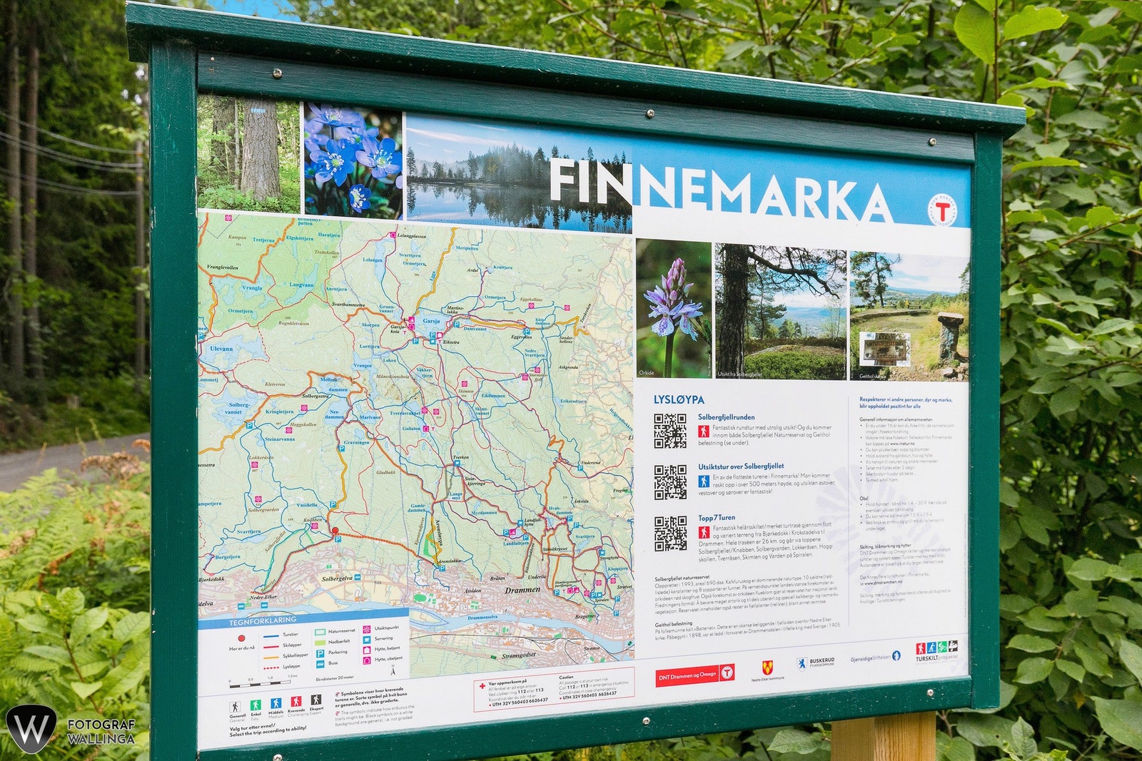 Du har også gode turmuligheter i nærområde for de eventyrlystne Galleribilde