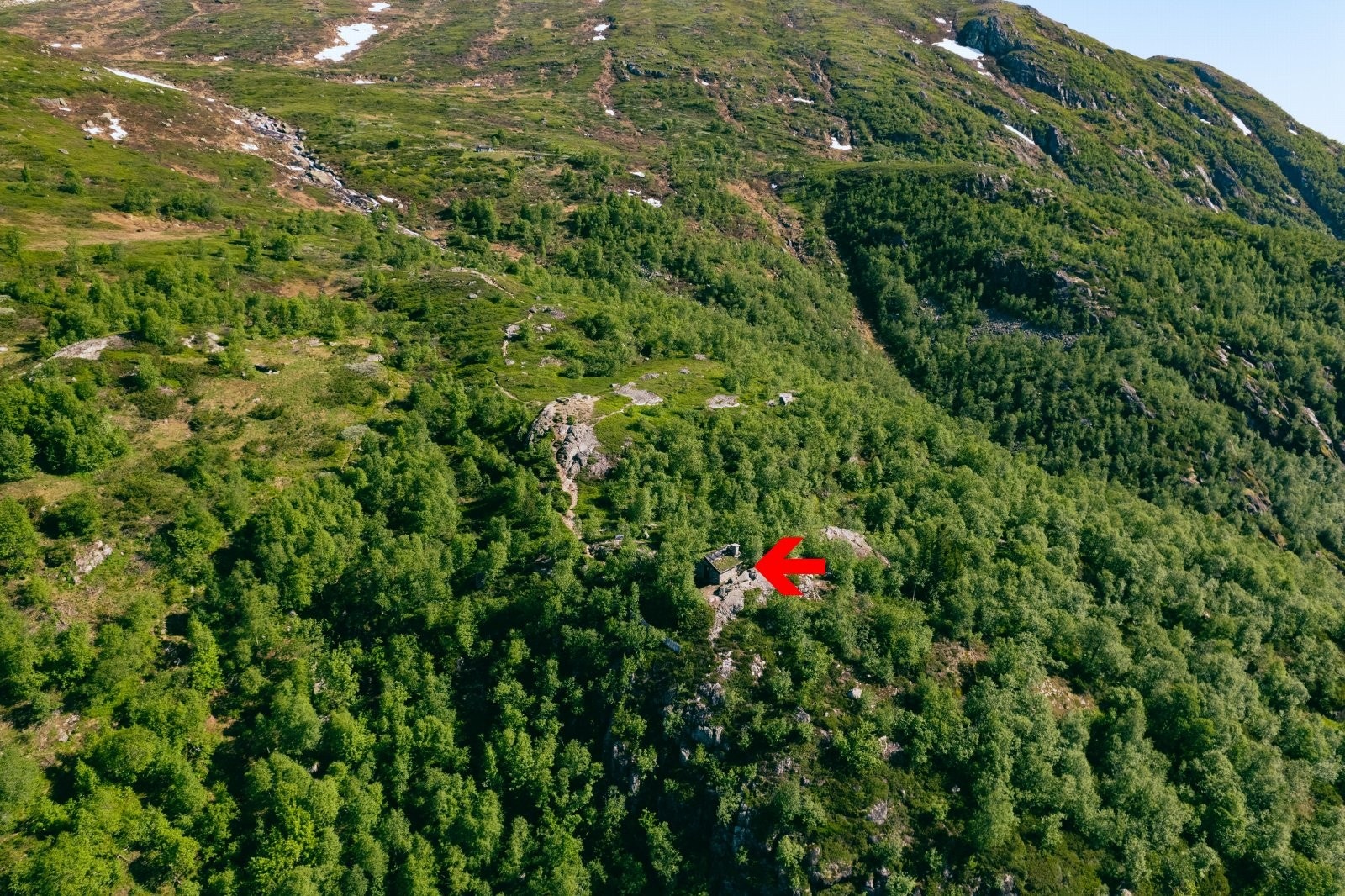 Tehytta på toppen av fjellet, en flott gåtur fra Neset Galleribilde
