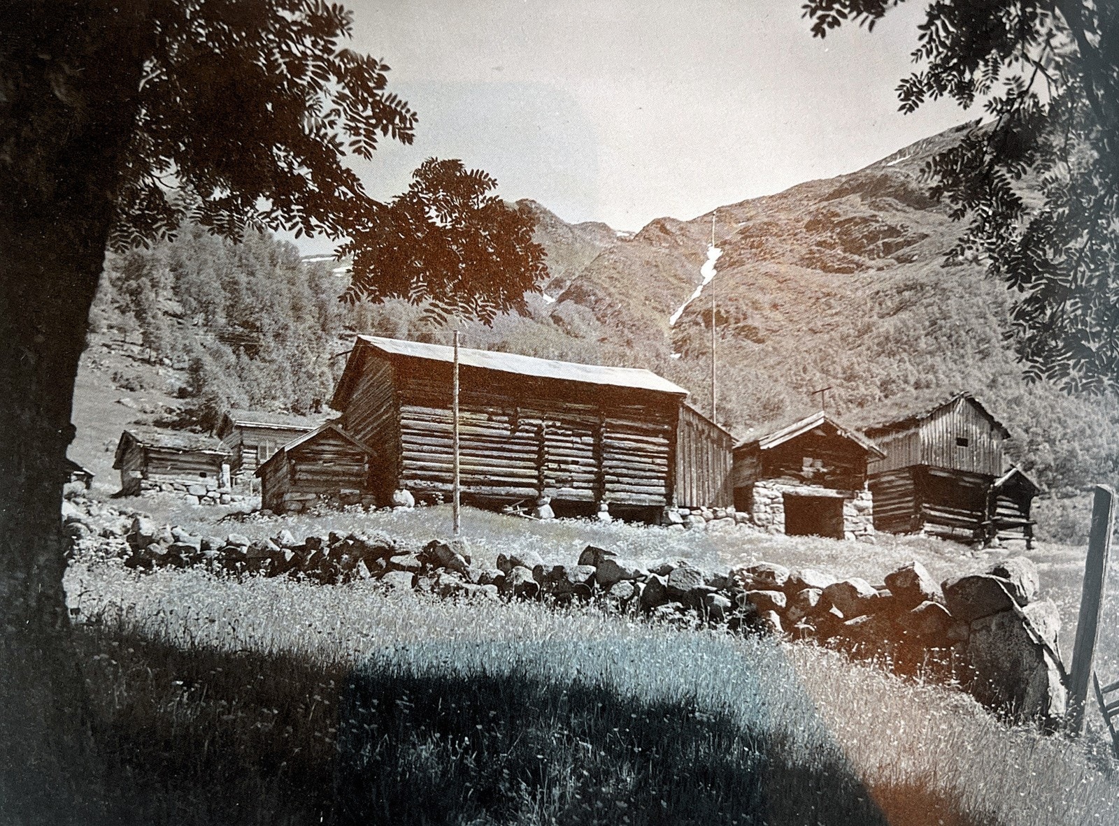 Loftsgarden rundt 1950 Galleribilde