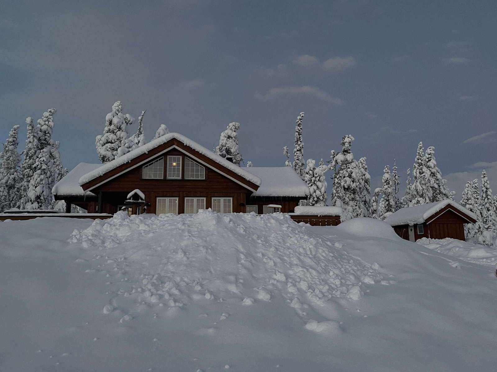 Winter wonderland Galleribilde