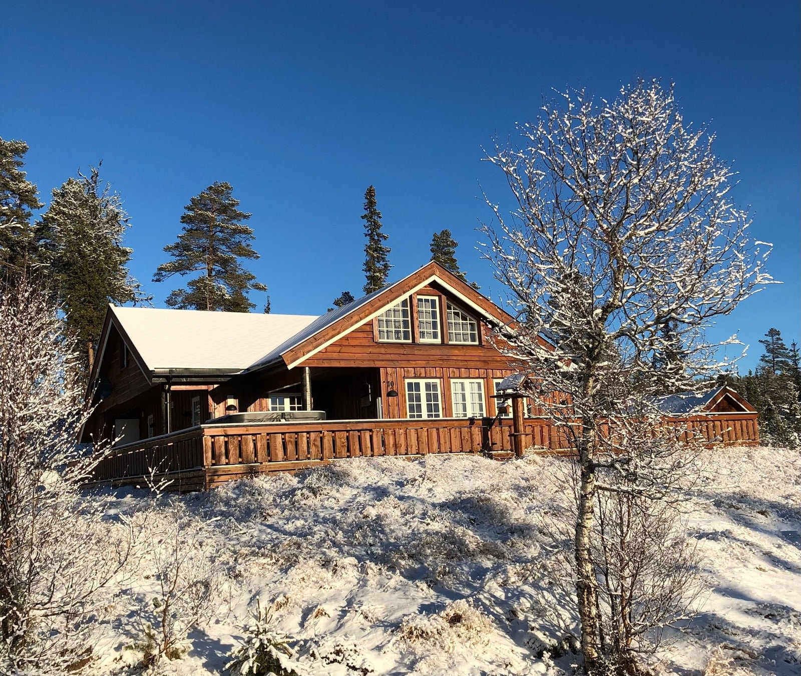 Frittliggende. Gode solforhold Galleribilde