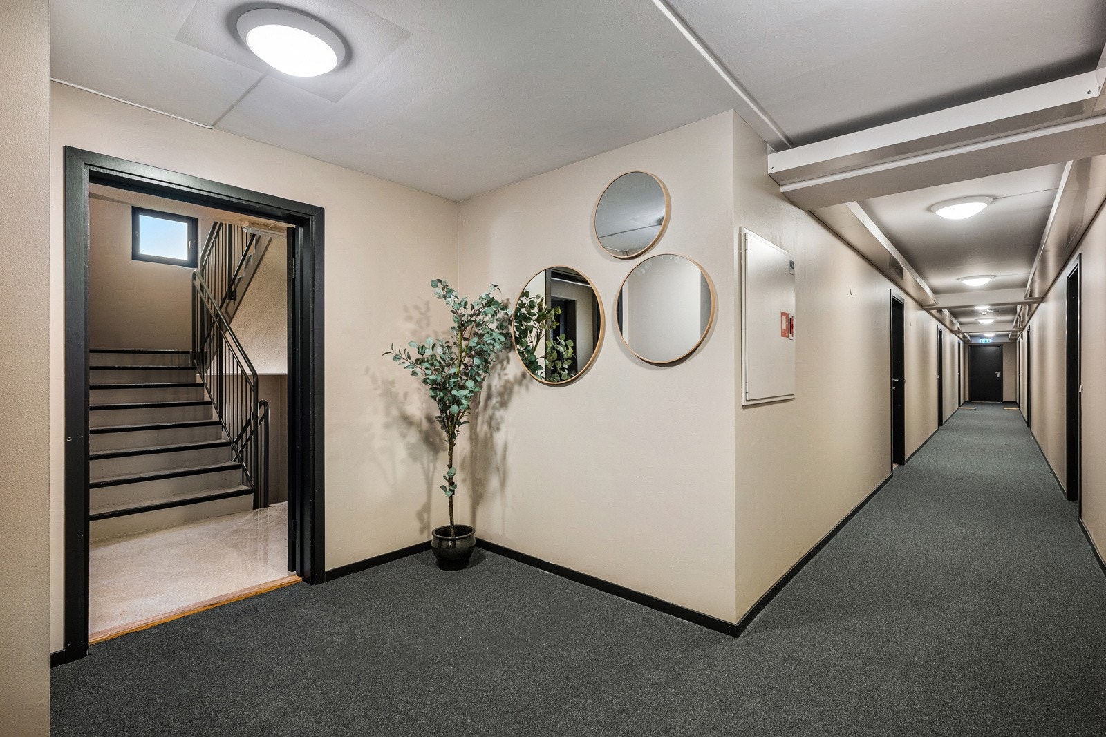 heten har en god intern beliggenhet i byggets 6.etasje med heisadkomst. Galleribilde