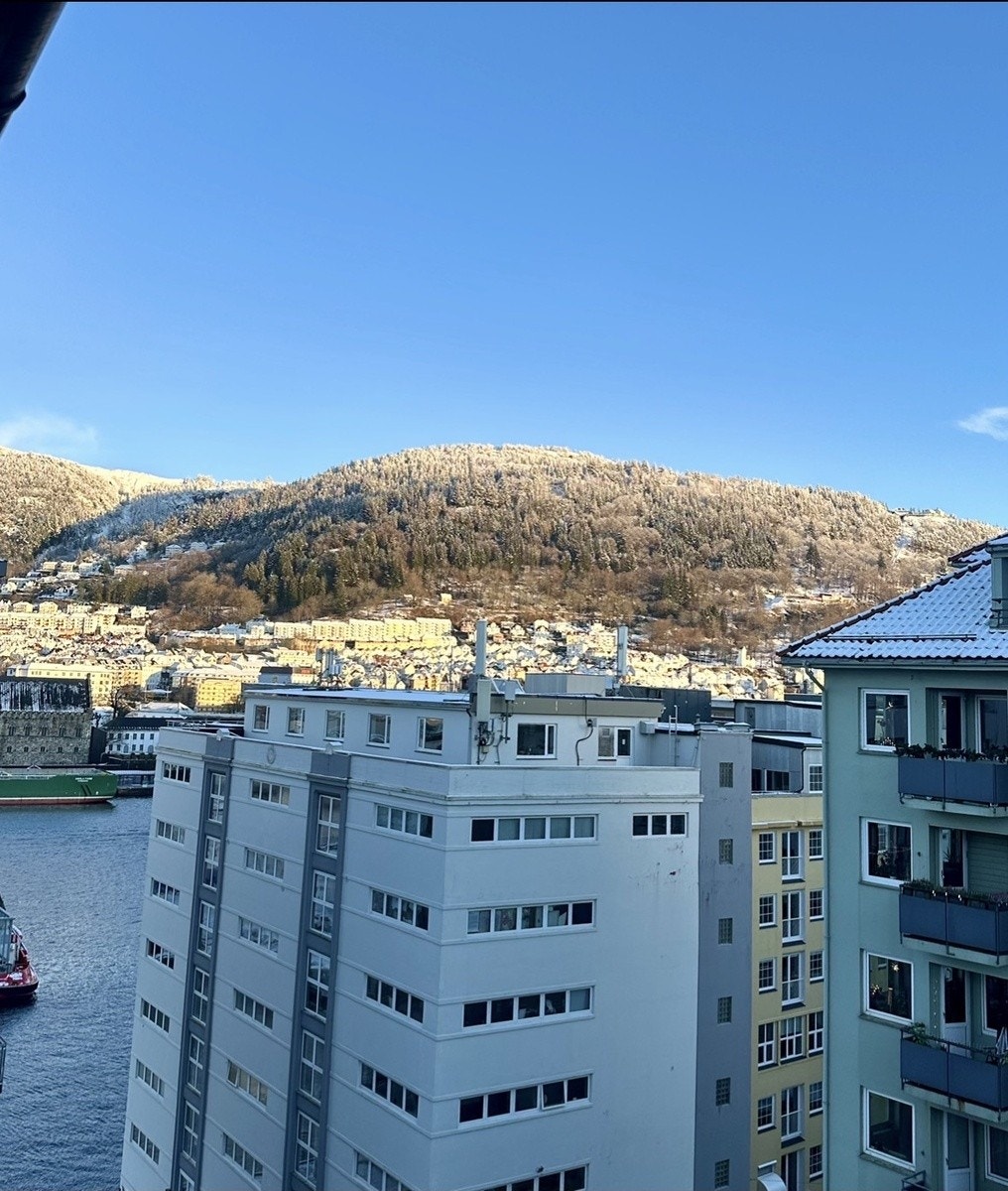 Nydelig utsikt til byfjorden, Håkonshallen, Skansen og Fløyen Galleribilde