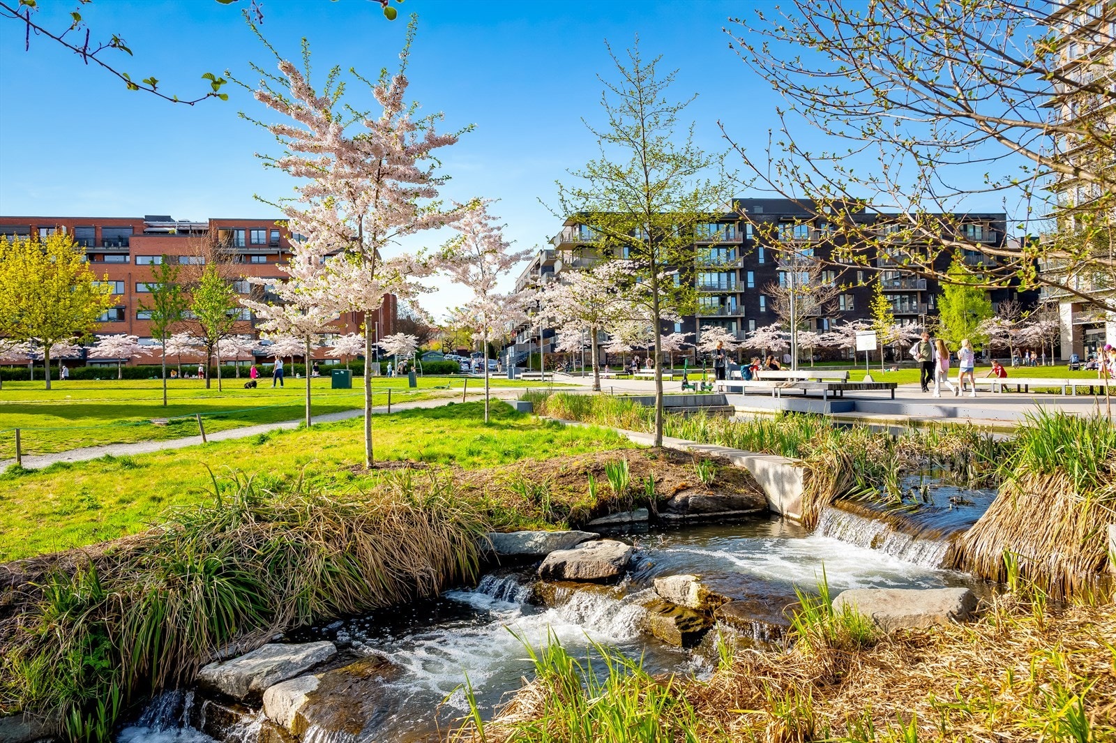 Området byr på en rekke rekreasjonsmuligheter. Galleribilde