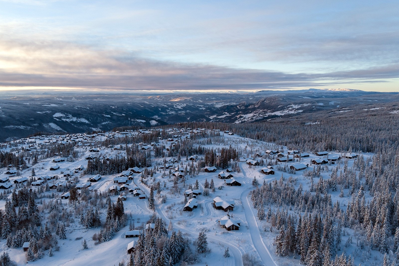 Velkommen på visning! Galleribilde