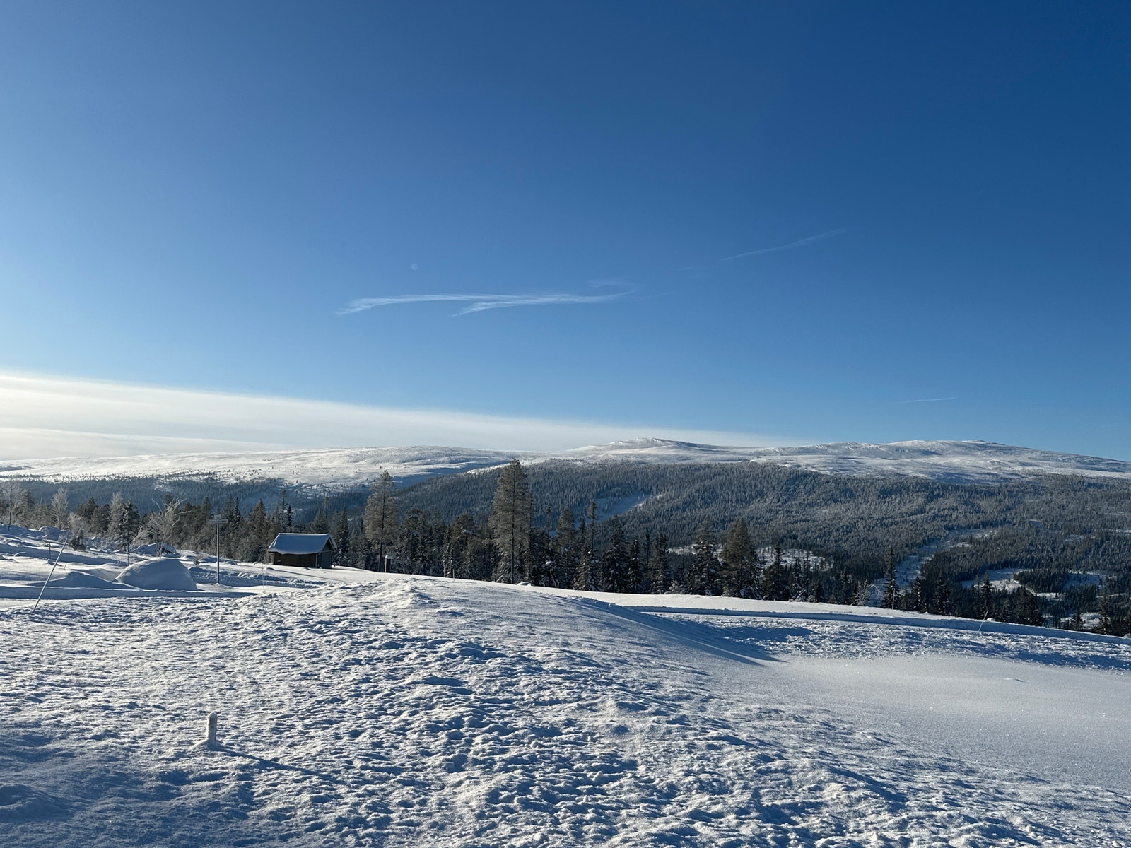 Utsikten fra tomten Galleribilde