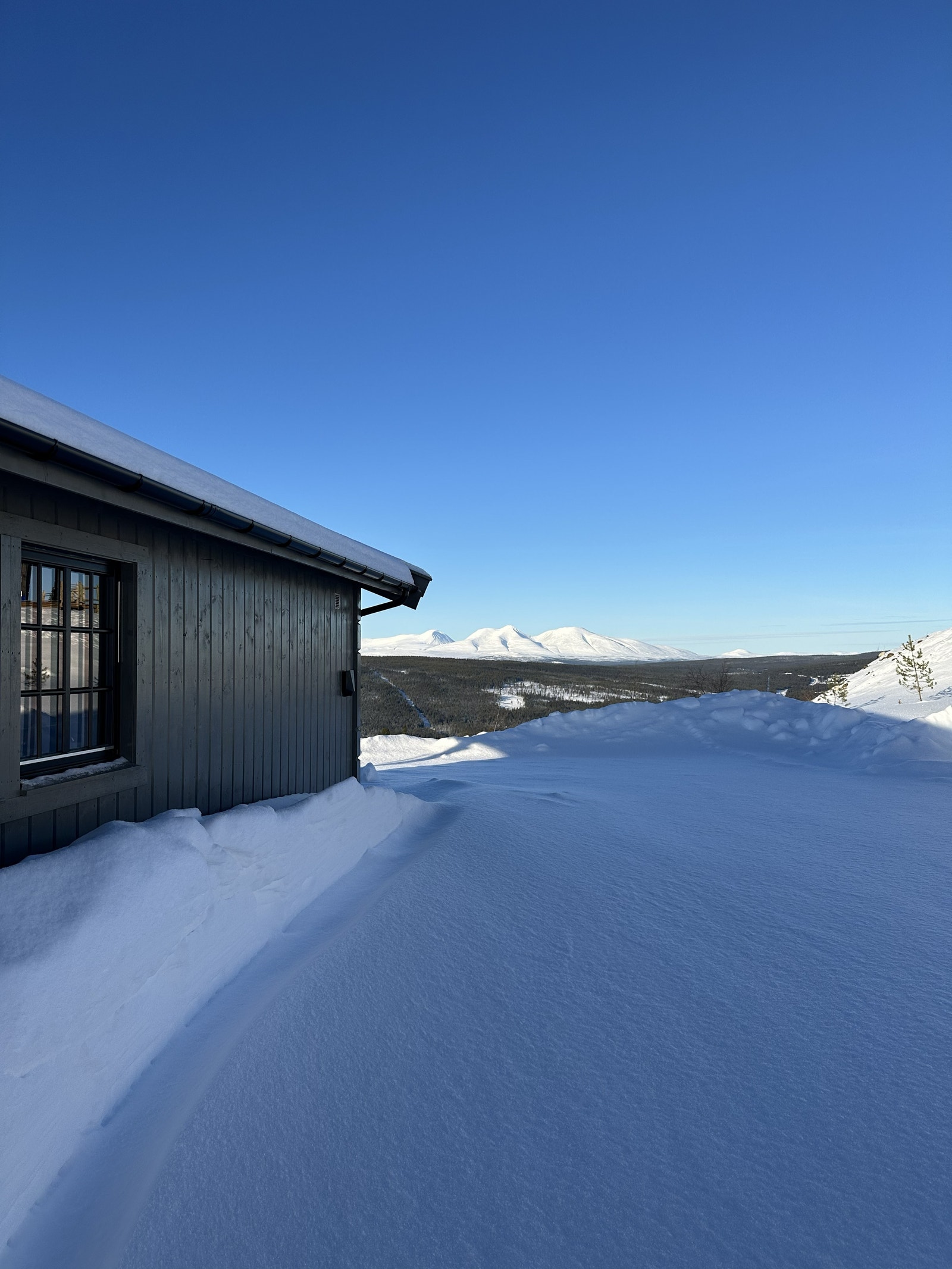 Tomt med utsikt Galleribilde