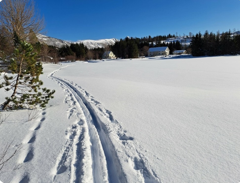 Skiløype mot boligen Galleribilde