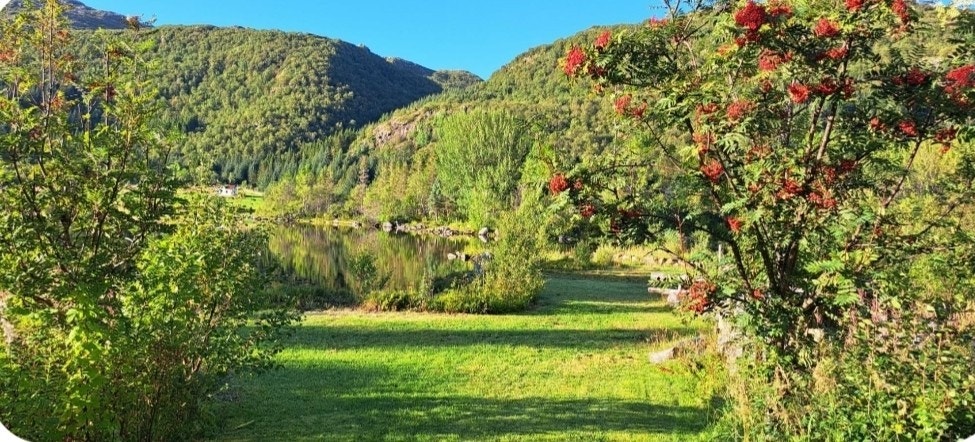 Opparbeidet plen ned til vannet Galleribilde