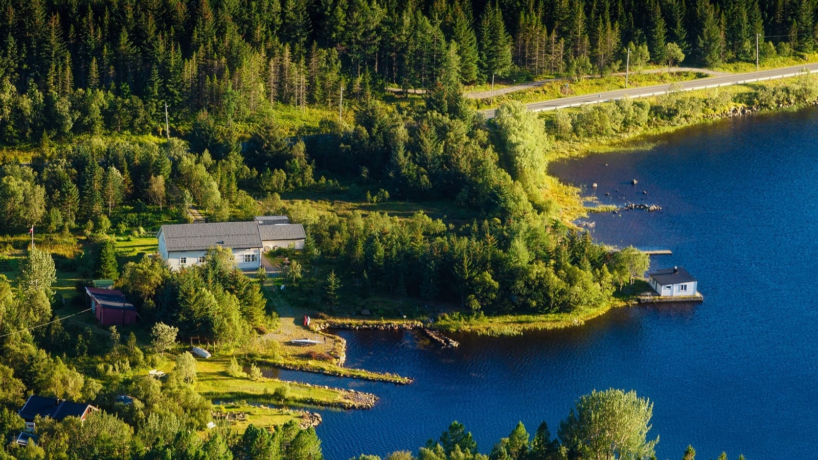 Sommerbilde - oversikt Galleribilde