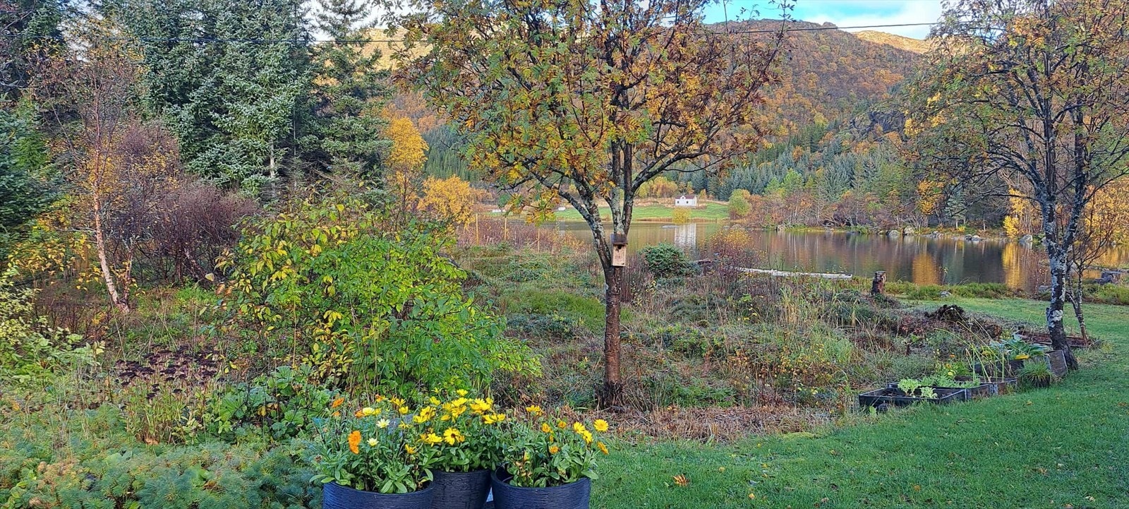 Naturskjønt område Galleribilde