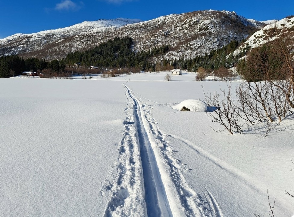 Flotte skiløyper Galleribilde