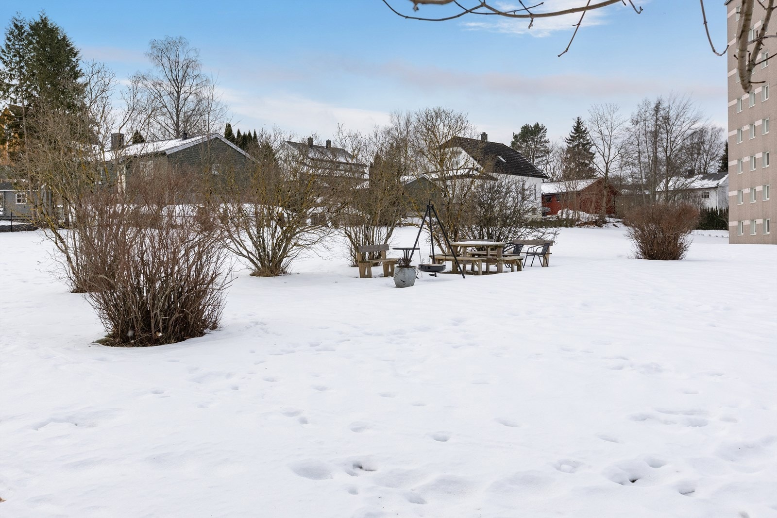 Koselig bakgård med store felles arealer. Galleribilde
