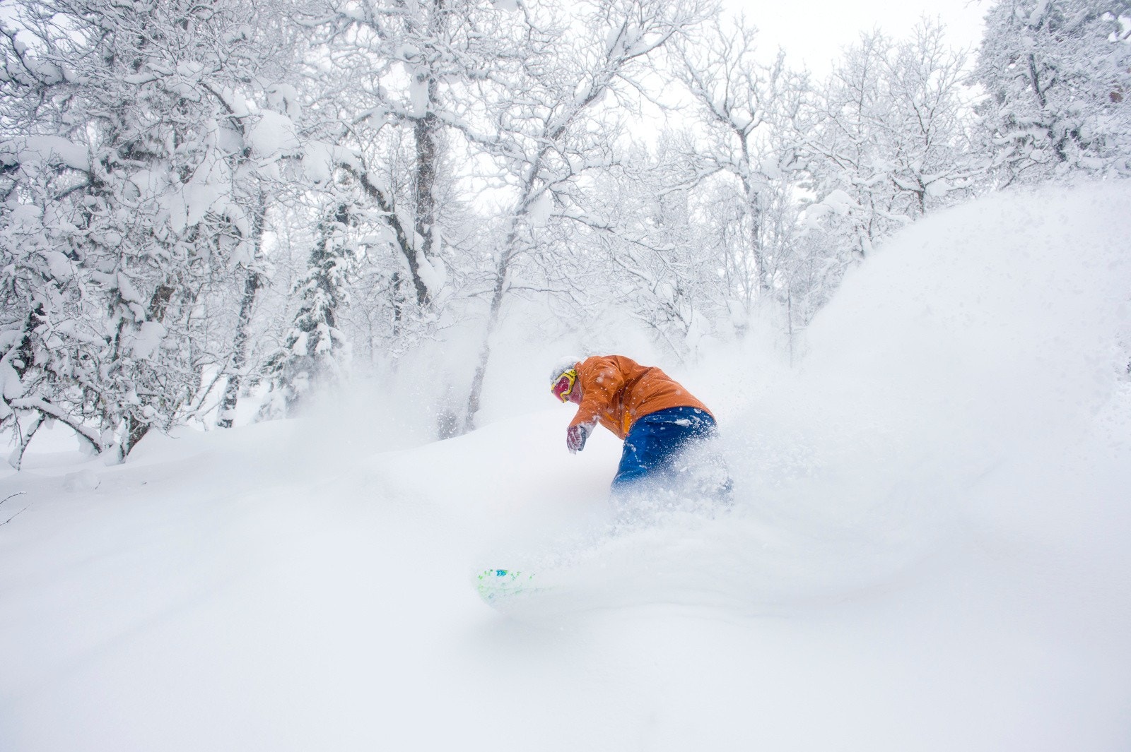 Uvdal er kjent for sine gode off pist forhold Galleribilde