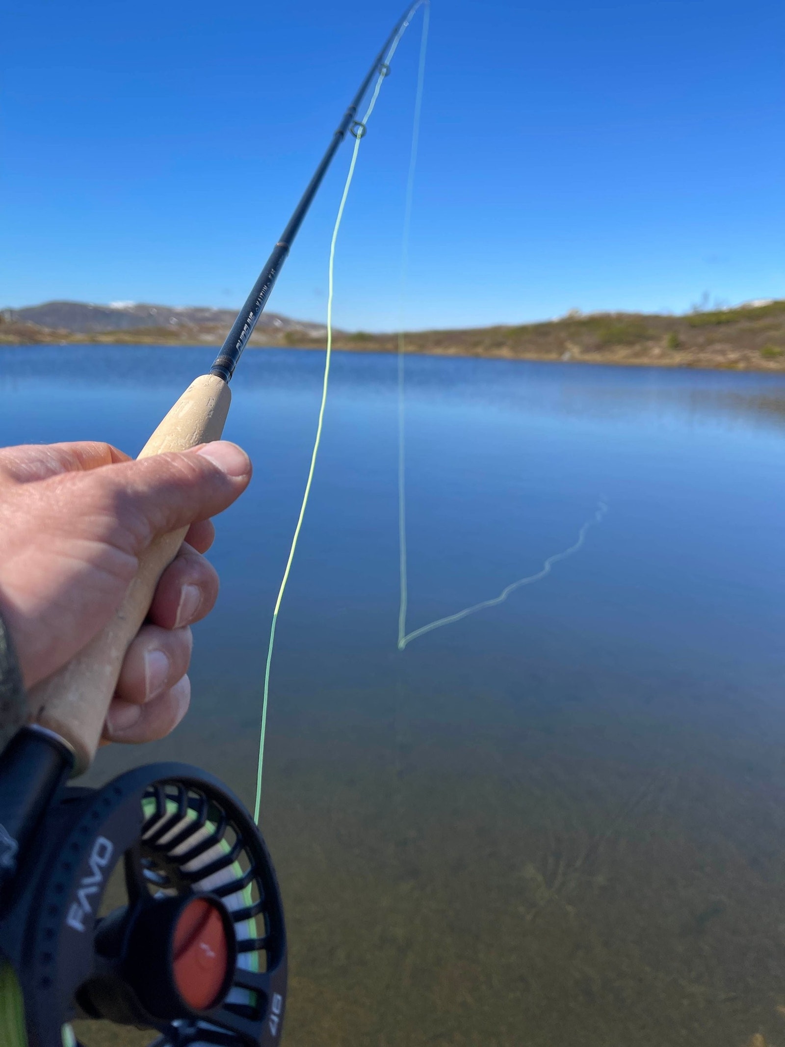 Gode fiskemuligheter Galleribilde