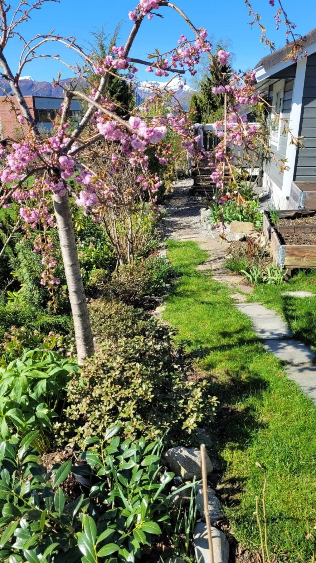 Uteområdet fremstår særdeles innbydende på sommerstid, med rikelig av koselige blomster og grøntareal. Galleribilde