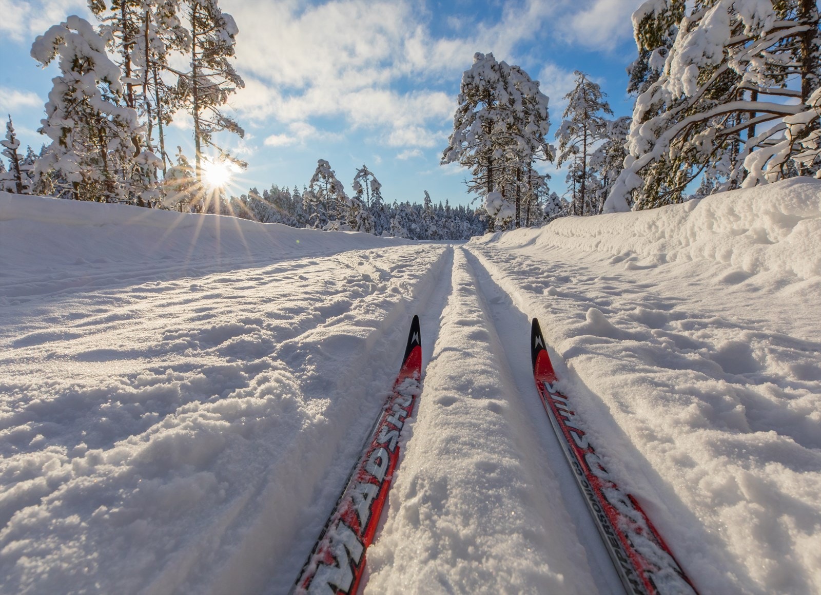 Det er også et aktivt og inkluderende miljø for både langrenn og skiskyting, med gode trenings- og konkurranseforhold ved Fetsund skistadion. Galleribilde