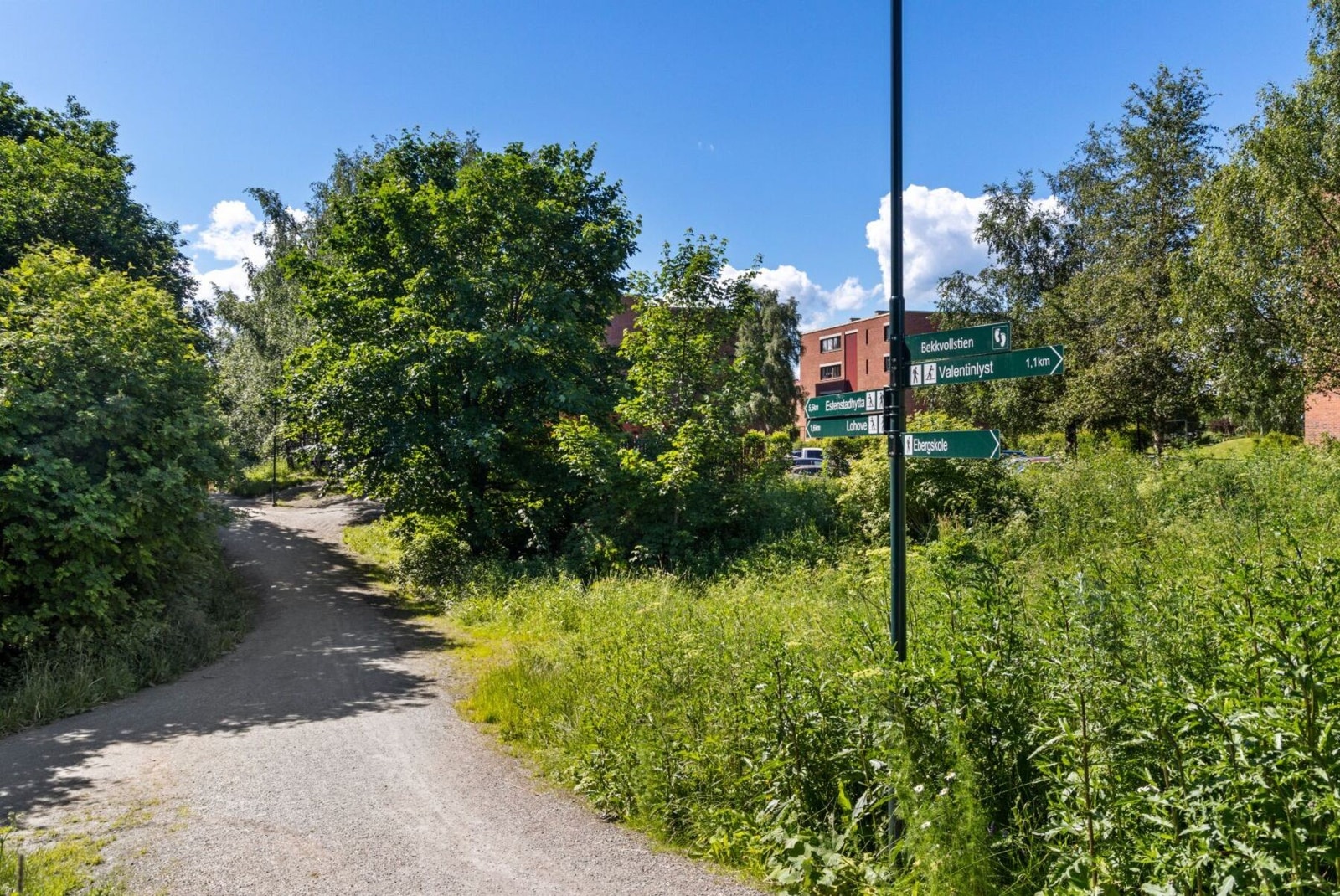 I tillegg finnes det turstier rett utenfor boligblokka - som tar deg både ned mot Strindheim, samt oppover mot Moholt og videre helt til Estenstadmarka. Galleribilde