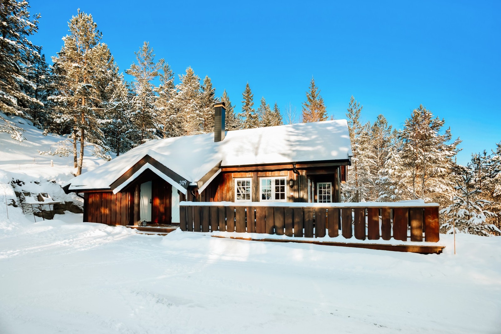 Velkommen til Bjønntjønn 309! Foto: Karina Jensen/Isnitt Galleribilde