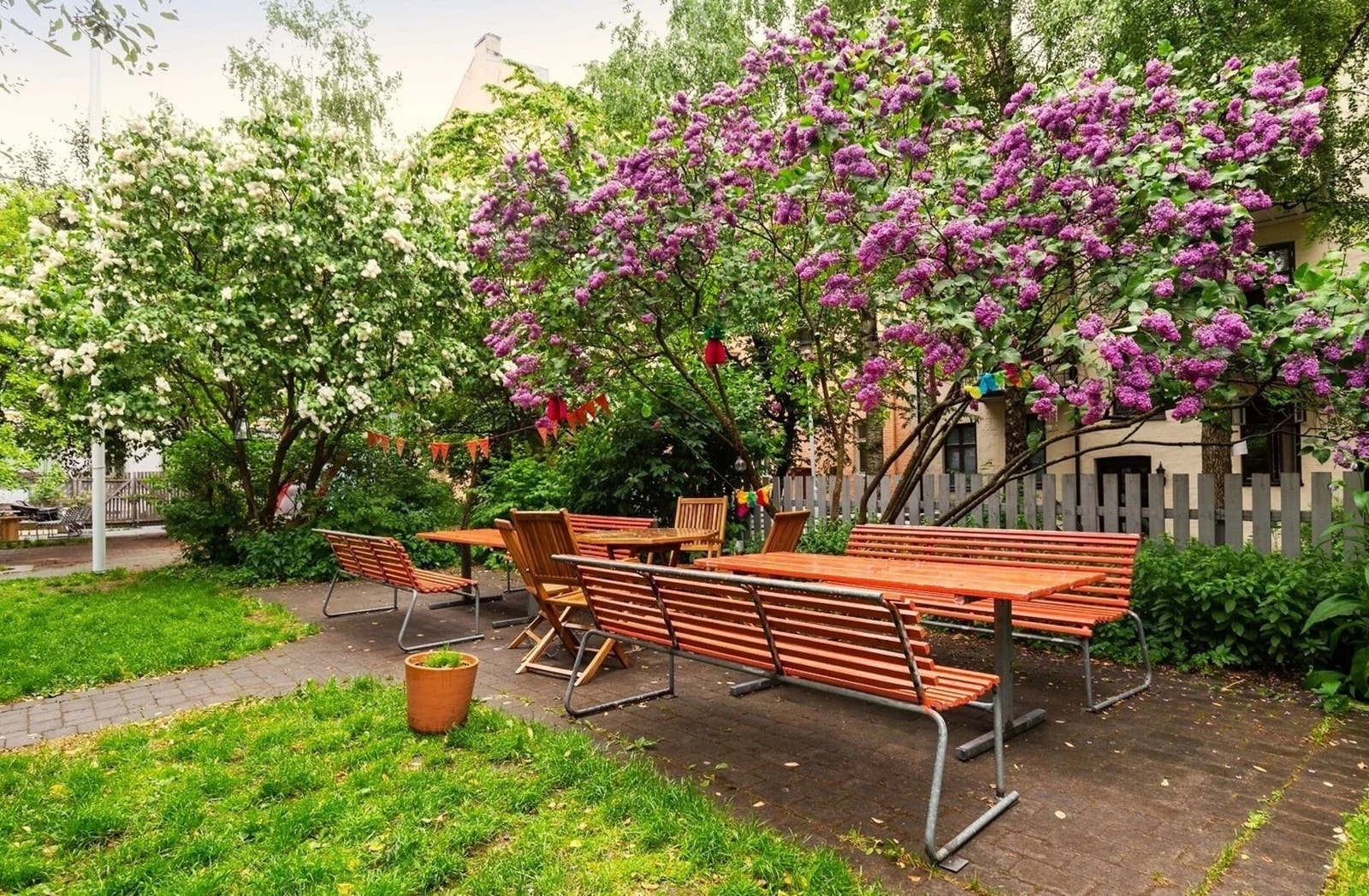 Sommerbilde av bakgården Galleribilde