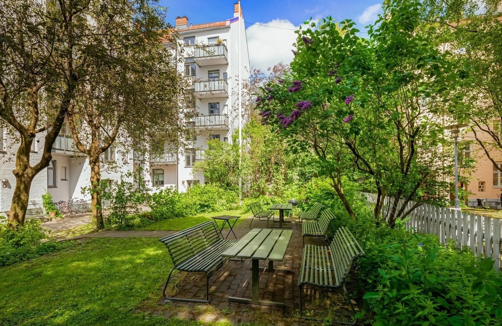 Sommerbilde av bakgården Galleribilde