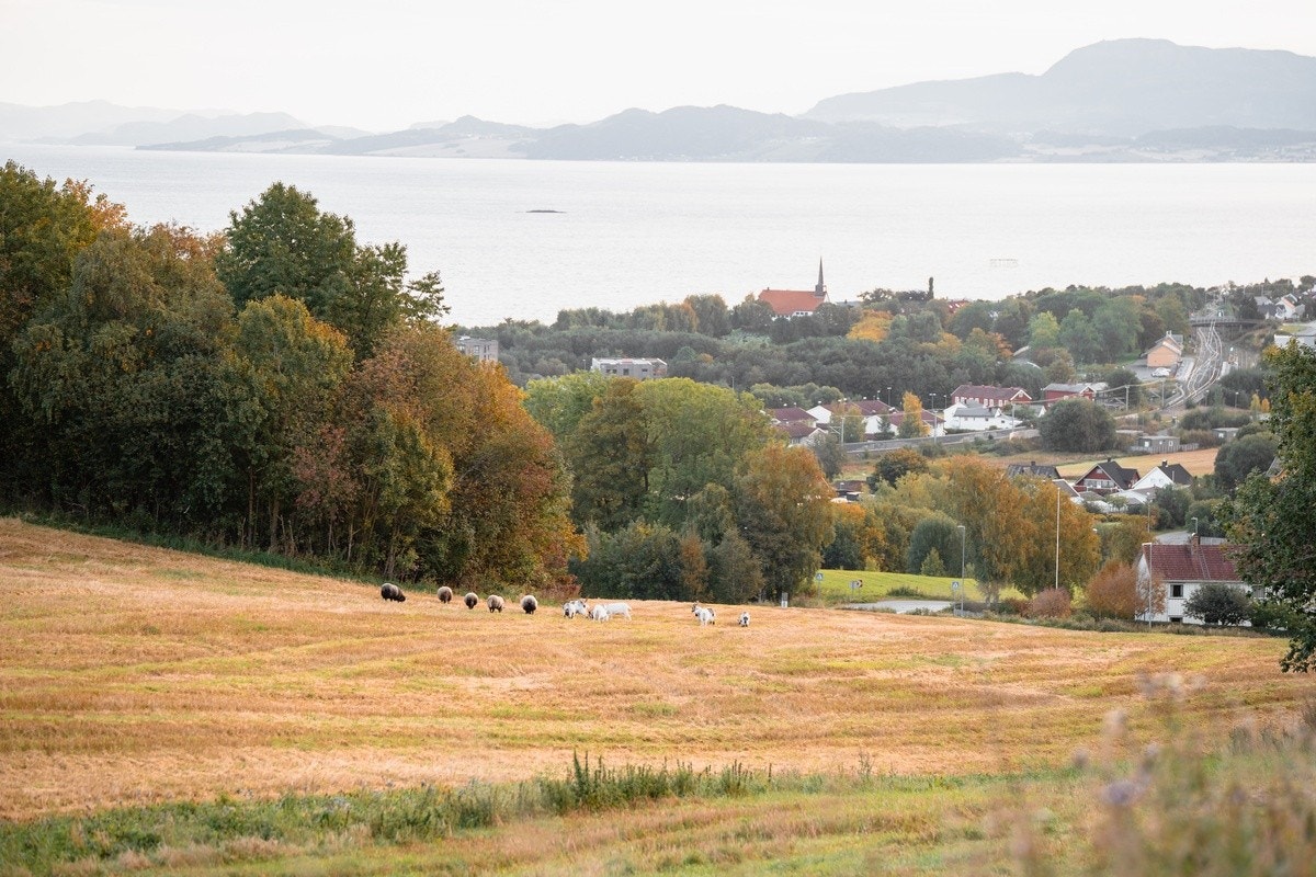 Charmonix(turområde) Galleribilde