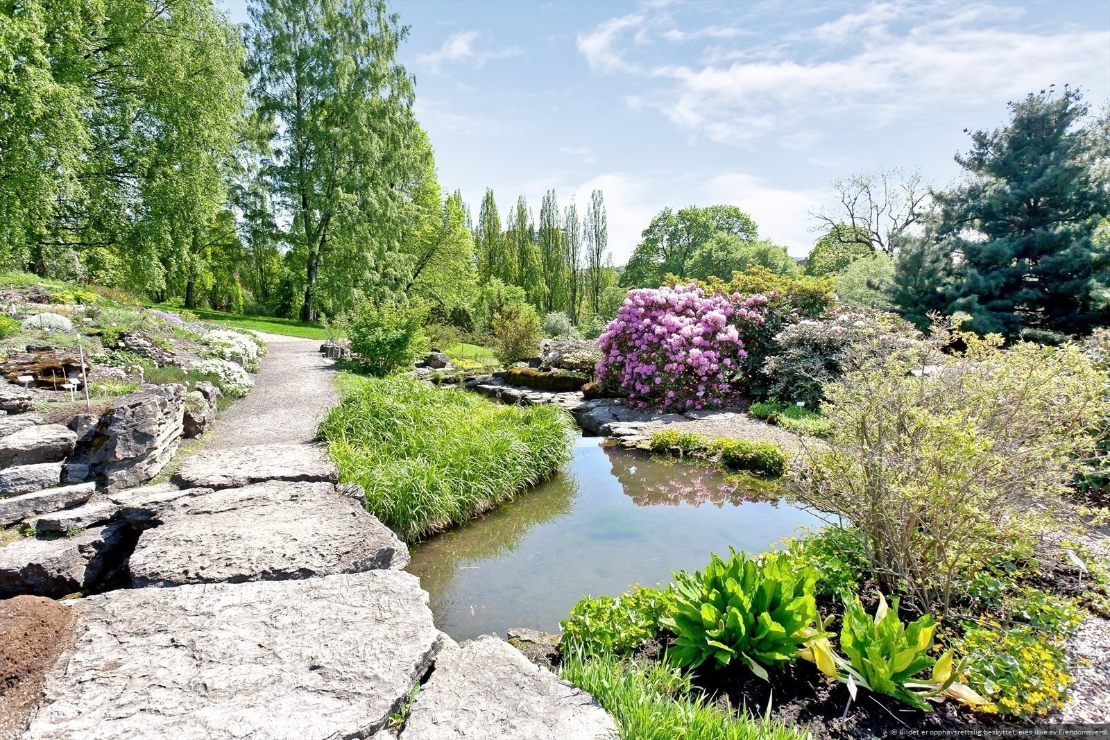 Idylliske botanisk hage er kun en kort spasertur unna boligen. Absolutt verdt besøket på sommerstid! Galleribilde