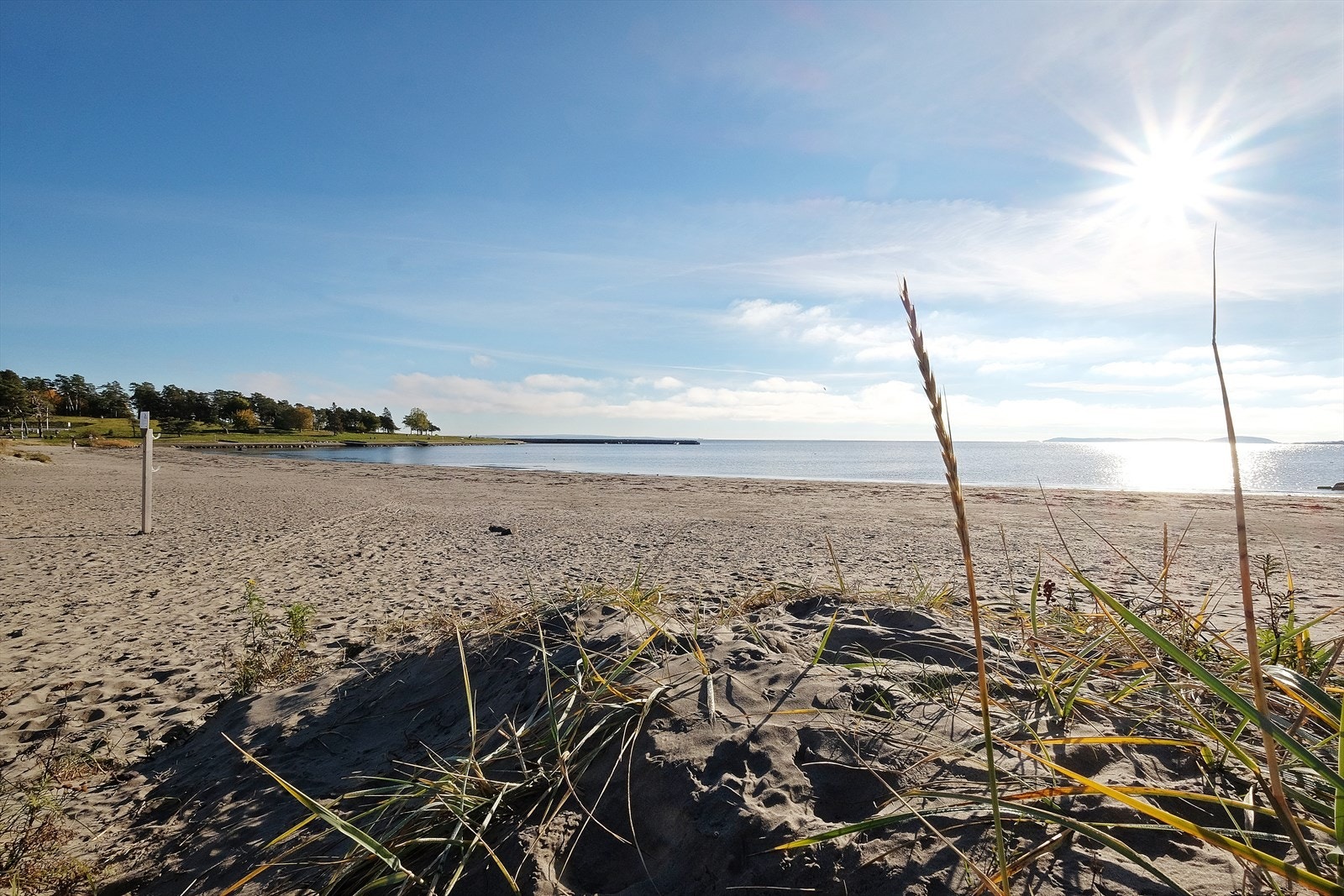 Strendene på Ringshaug og Skallevold er meget populære grunnet sine store og nydelige gressletter, sandstrender og flotte steinmoloer. Galleribilde