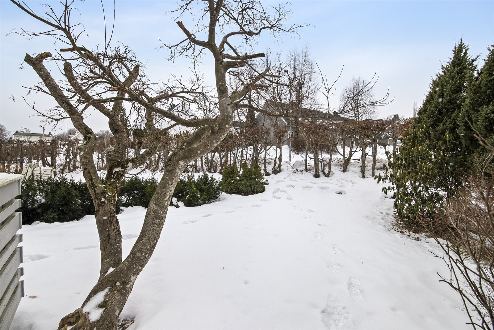 God plass for store og små til lek og morro Galleribilde