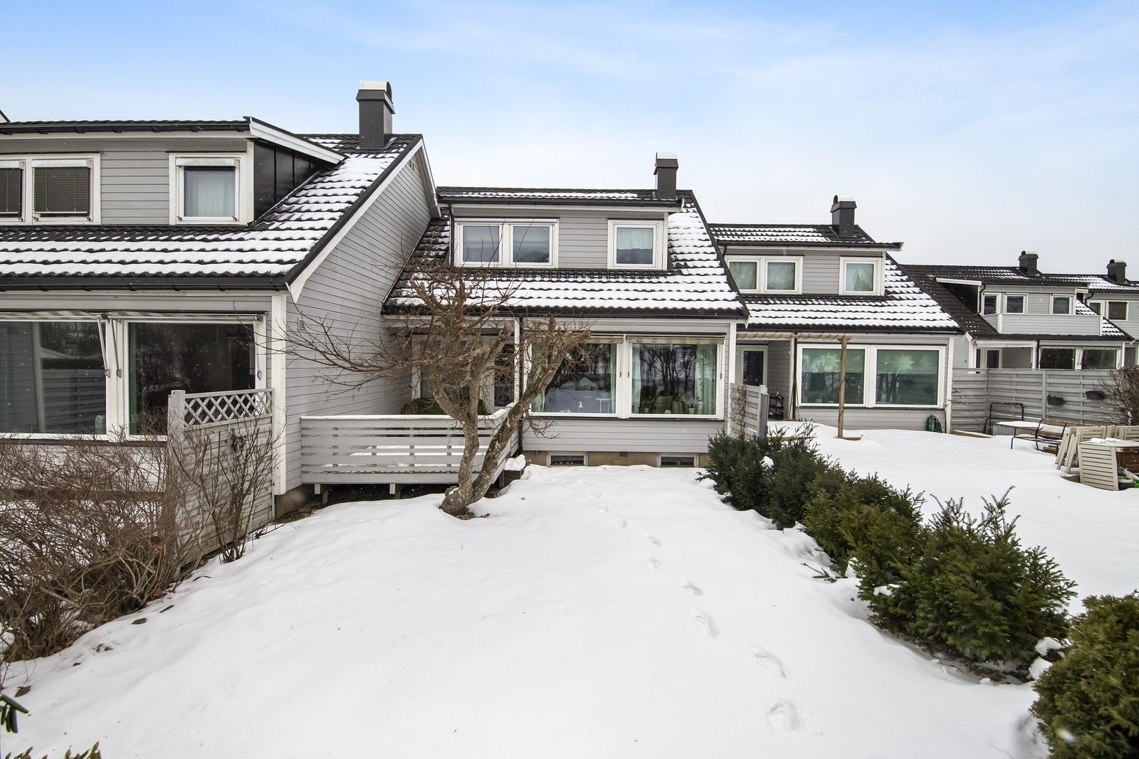 Hagen er plansatt med hekk Galleribilde