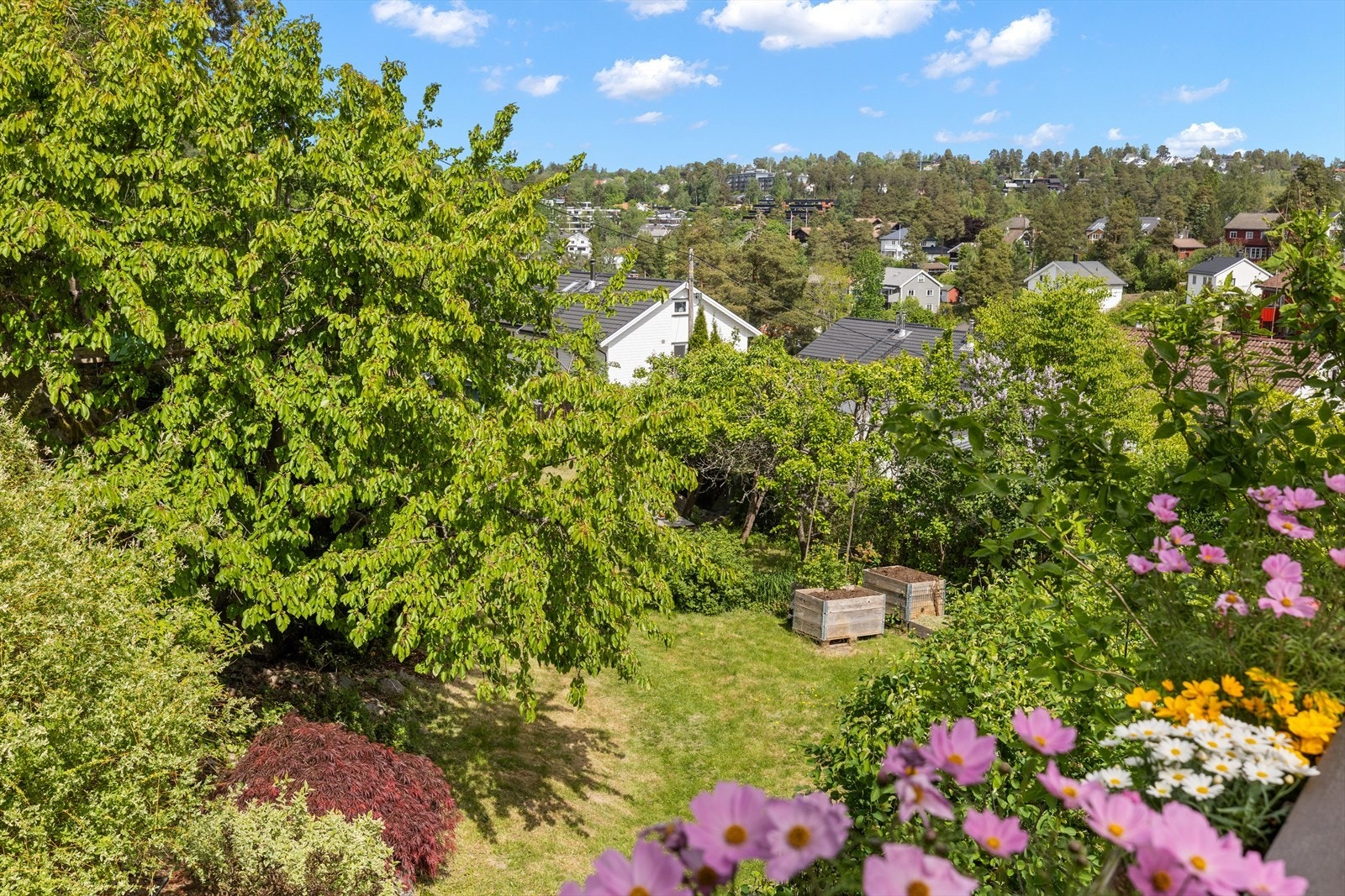Særdeles stor og frodig hage på totalt ca. 1728 kvm med flere frukttrær som gir rikelig med plass til lek og rekreasjon. Galleribilde