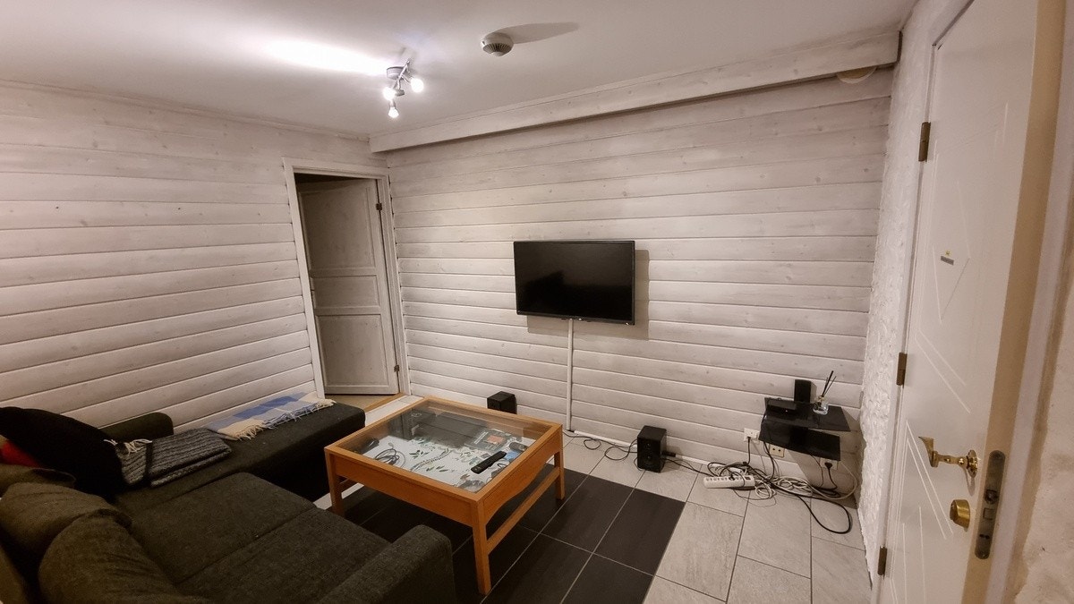 Tv stue med sovesofa Galleribilde