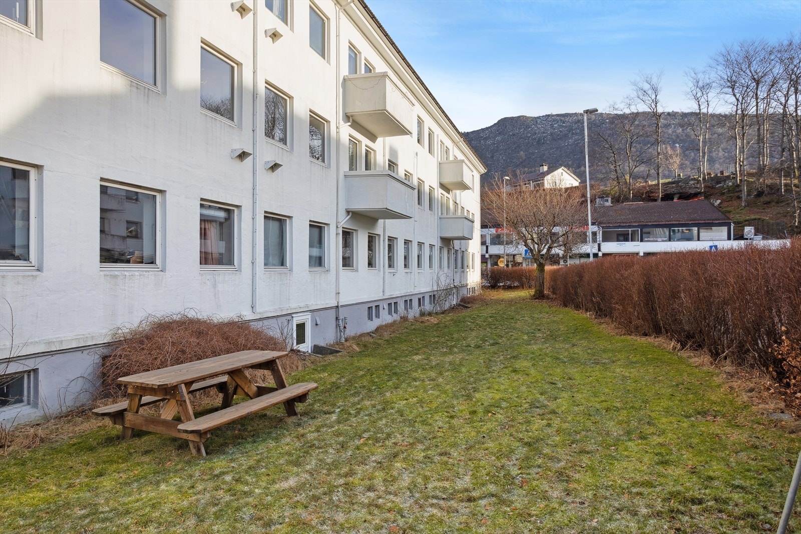 Felles, skjermet hage med gressplen og sittebenker. Galleribilde