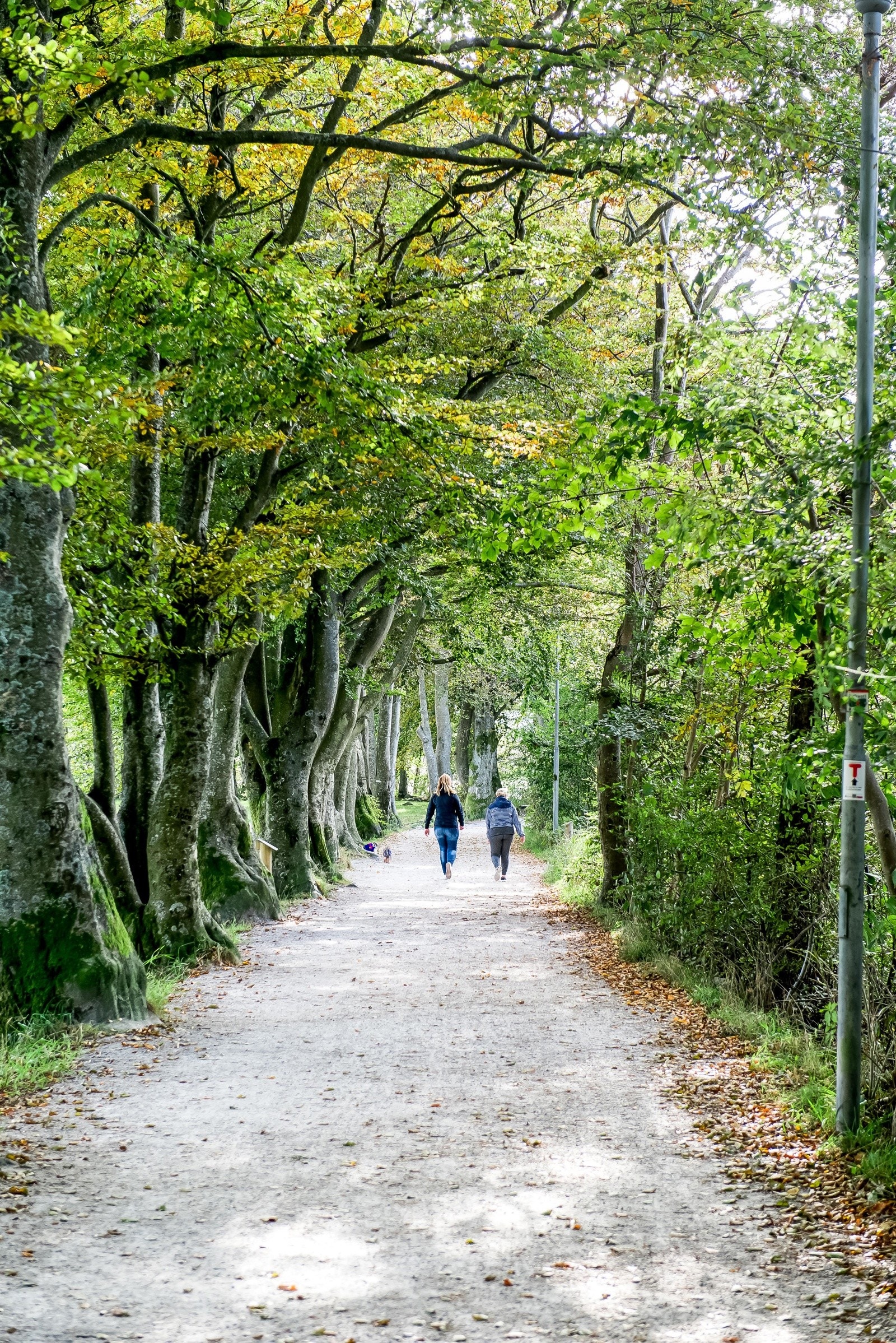 Det er i tillegg kort vei til den populære turstien langs Mosvatnet. Galleribilde