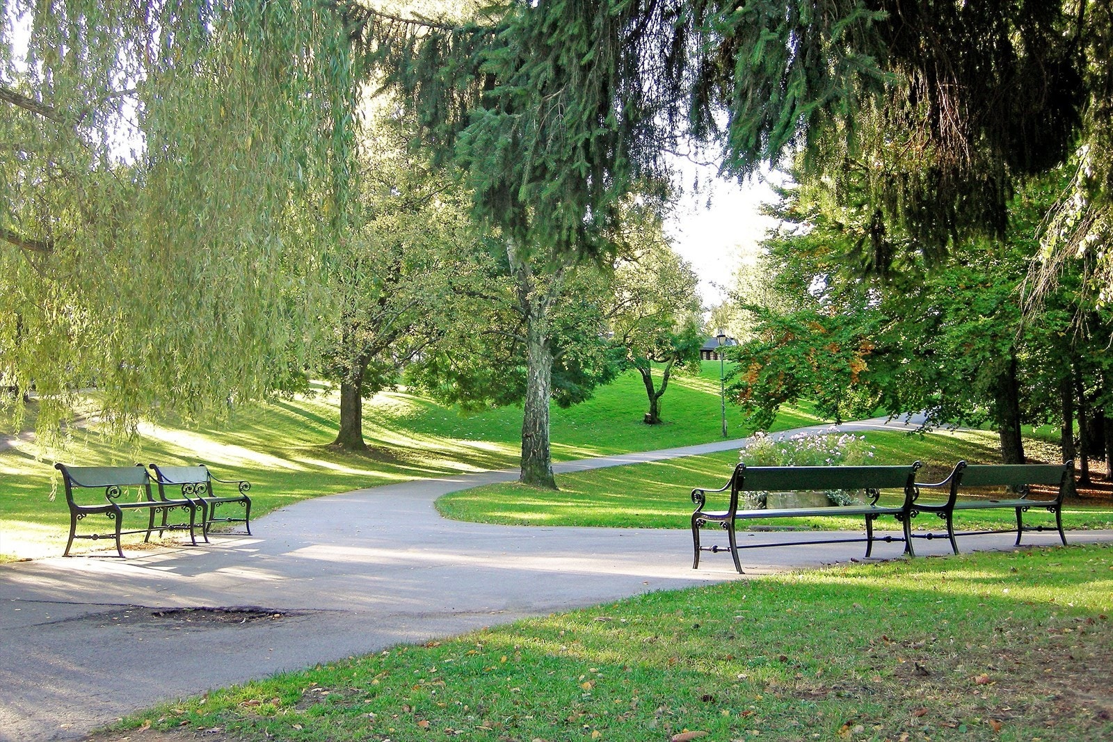 Vakre St. Hanshaugen park er rett rundt hjørnet fra leiligheten. Galleribilde
