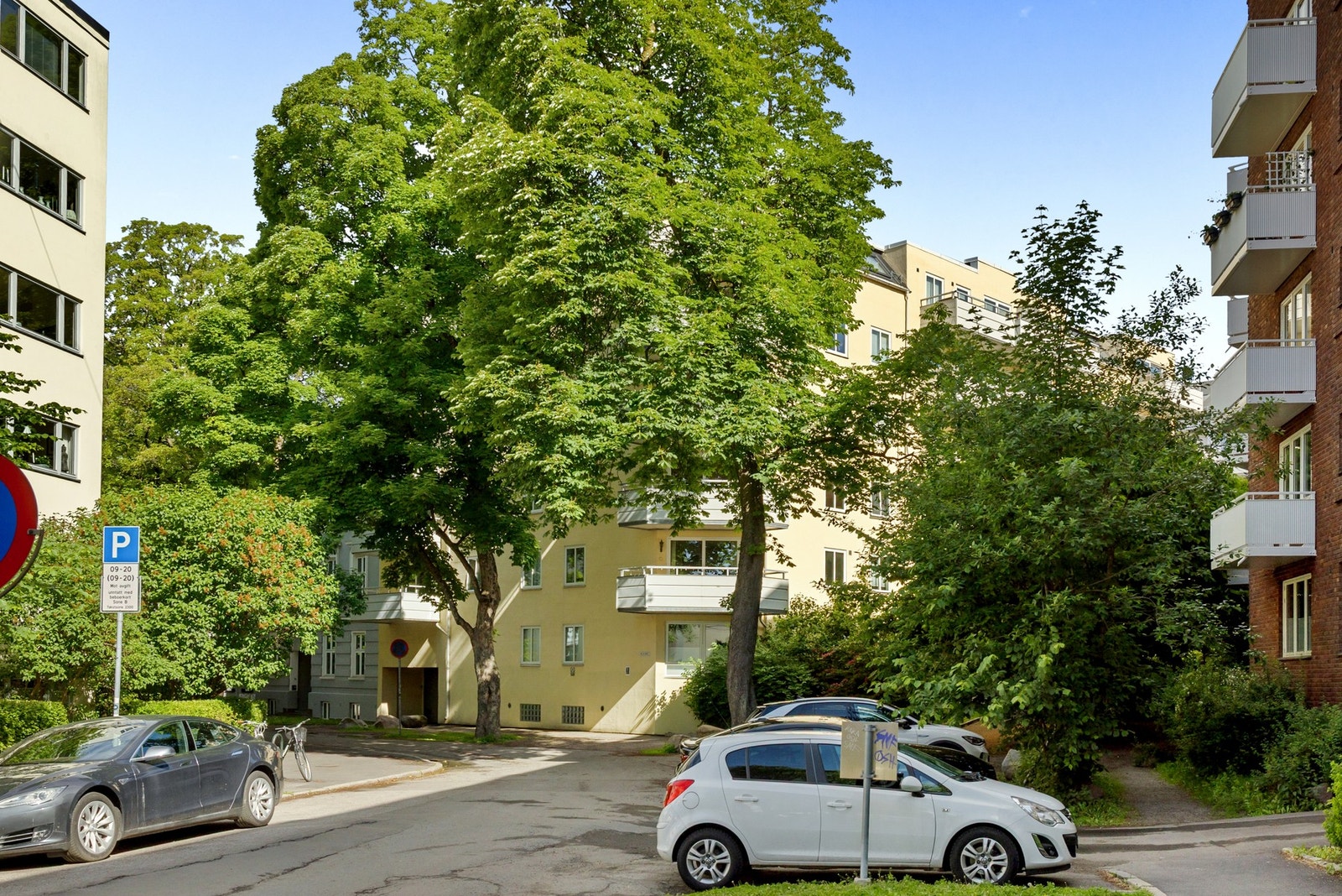 Bilde av de samme trærne og gaten utenfor å sommertid. En bitte liten oase midt på Bislett. Galleribilde