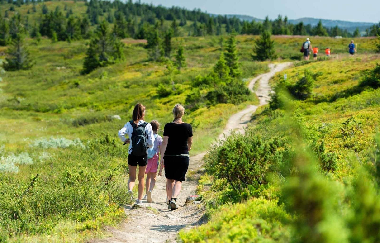 Flotte turmuligheter sommer som vinter Galleribilde