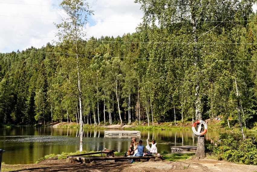 Isdammen i Lillomarka som er fint å bade i på sommern Galleribilde