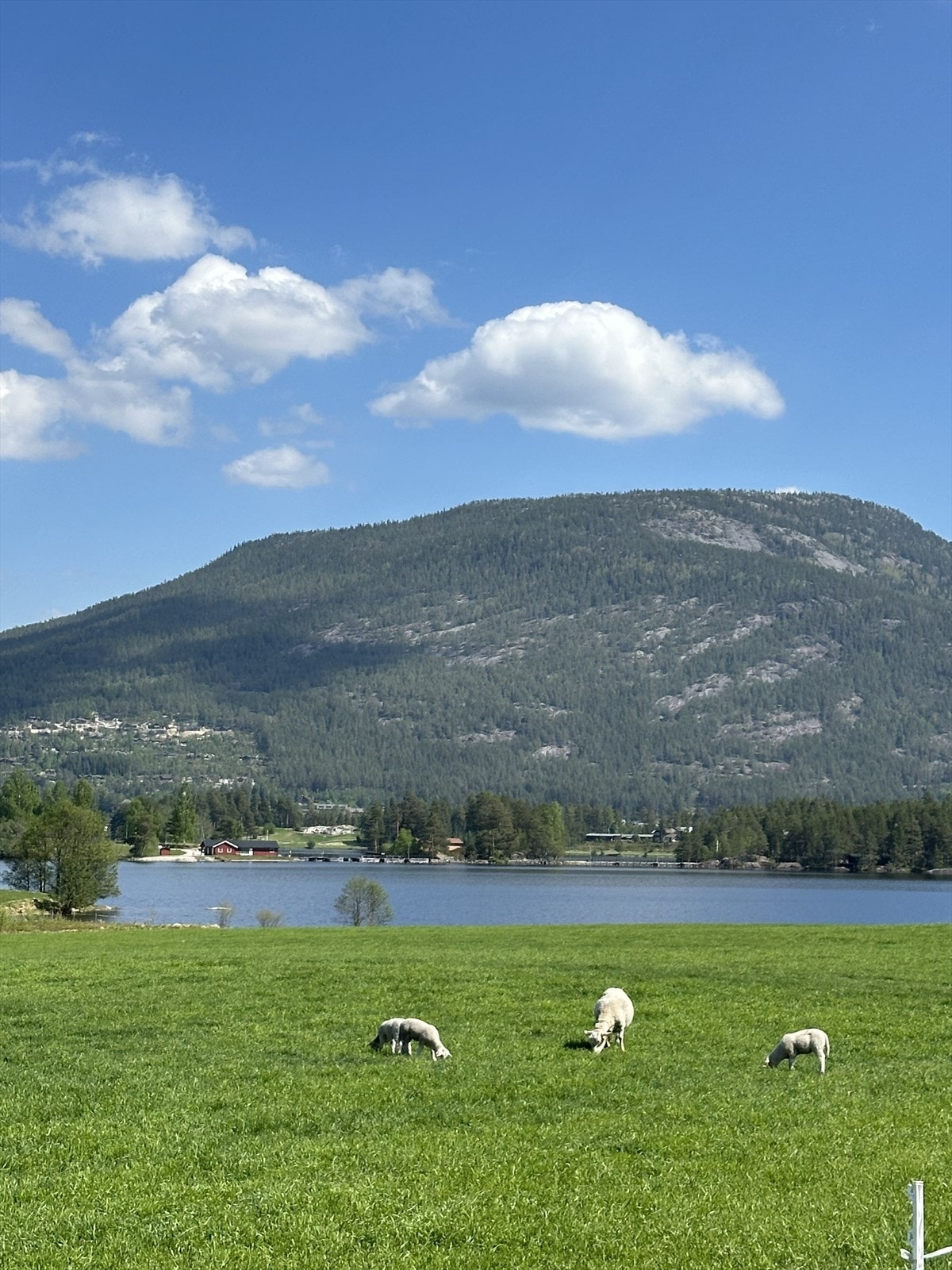 Hytta ligger rett i et området som minner om "et lite stykke Norge" - her på veg til golfspilling. Galleribilde