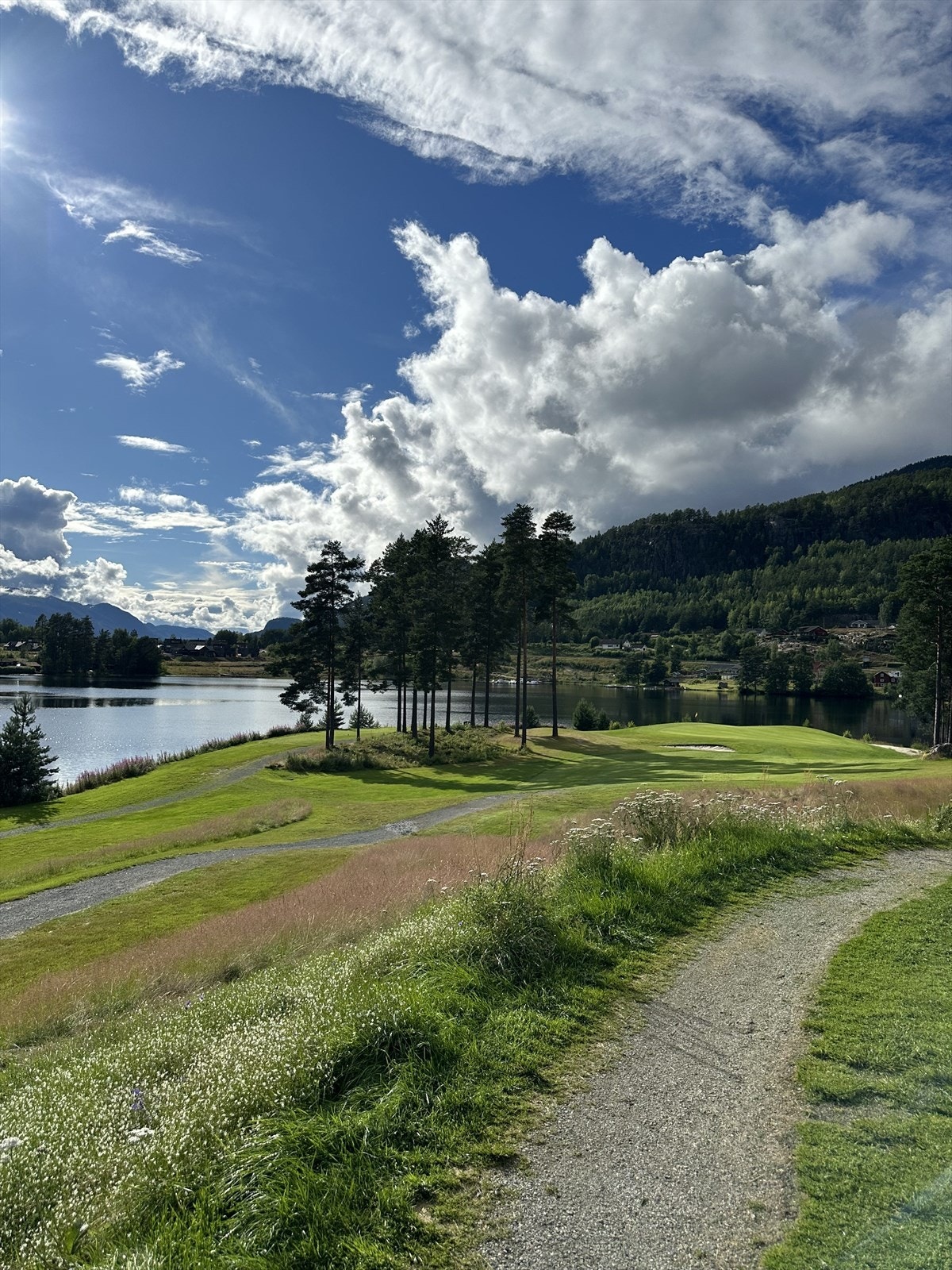 Fra golfbanen en fin mai-dag Galleribilde