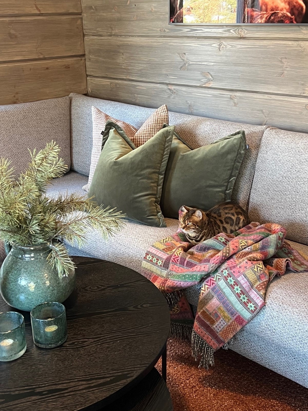 Fint for både to- og firebente på hytta Galleribilde