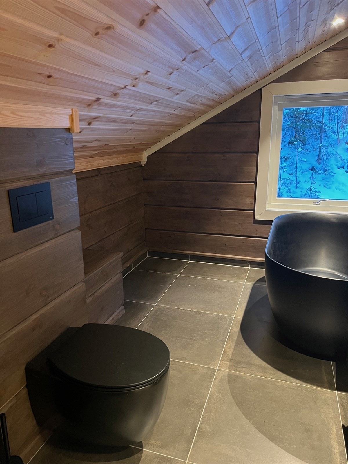 Vegghengt toalett Galleribilde