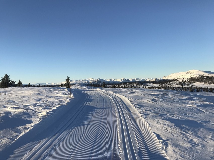 Skiløyper på Golsfjellet Galleribilde