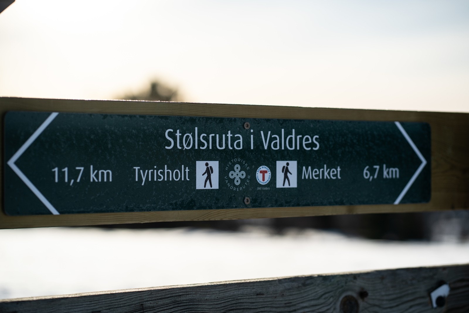 Stølsruta er fin å sykle på Galleribilde